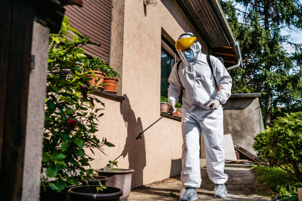 Best Exterminator Services  in Tripoli, IA