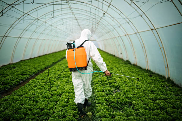 Best Local Pest Control Services  in Tripoli, IA