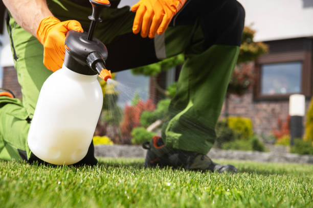 Best Best Pest Control Companies  in Tripoli, IA