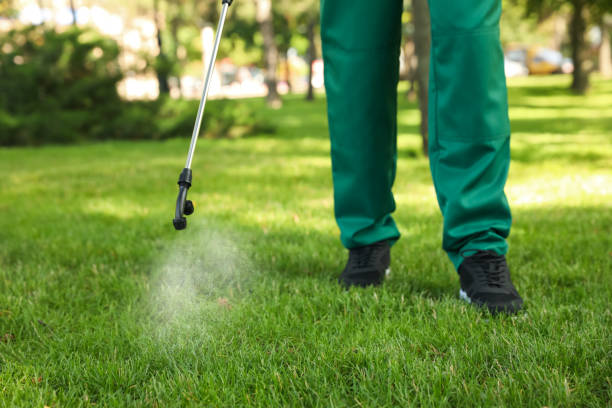 Best Pest Control for Restaurants  in Tripoli, IA