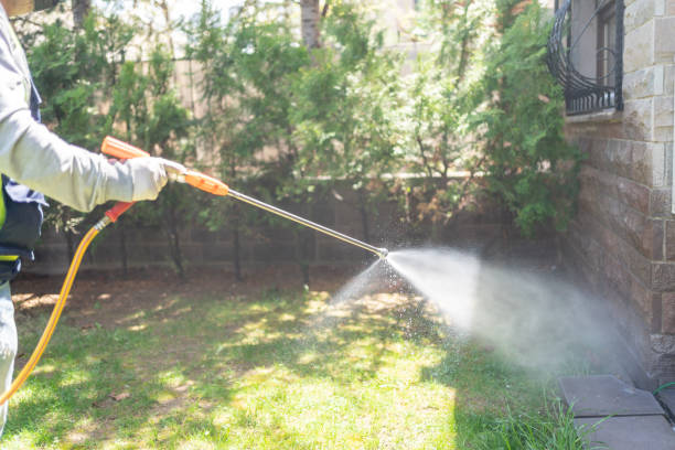 Best Termite Control Services  in Tripoli, IA