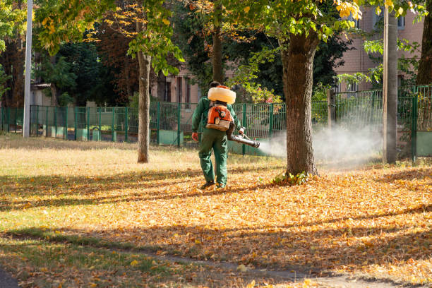 Professional Pest Control in Tripoli, IA