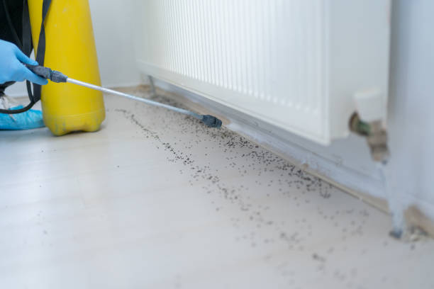 Best Wildlife Control Services  in Tripoli, IA